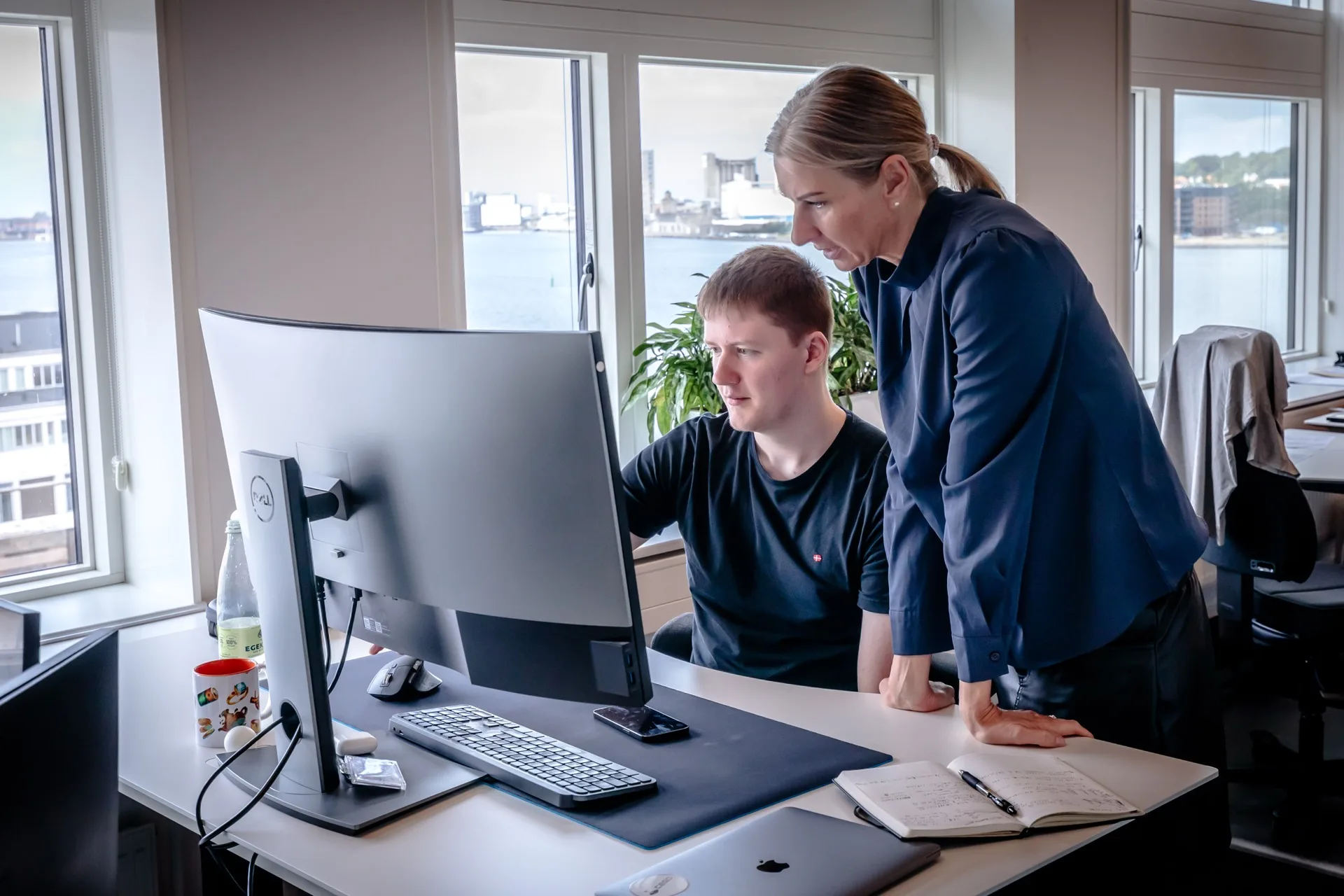 Legal and Compliance Team
